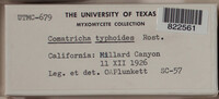 Image Associated With the Occurence